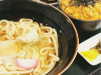 ランチ　ミニ玉子丼とうどん／そば定食